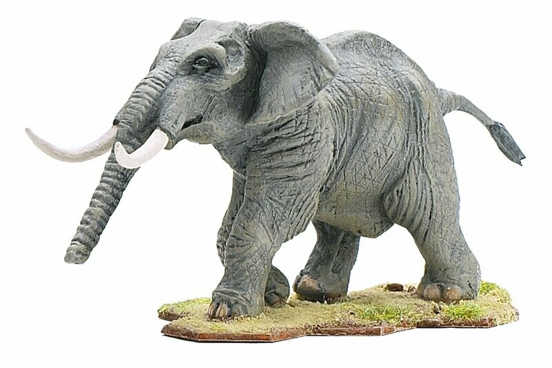 Elephant