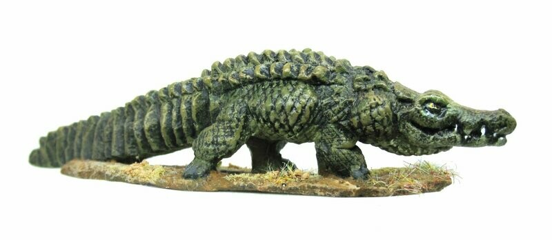 Large Crocodile