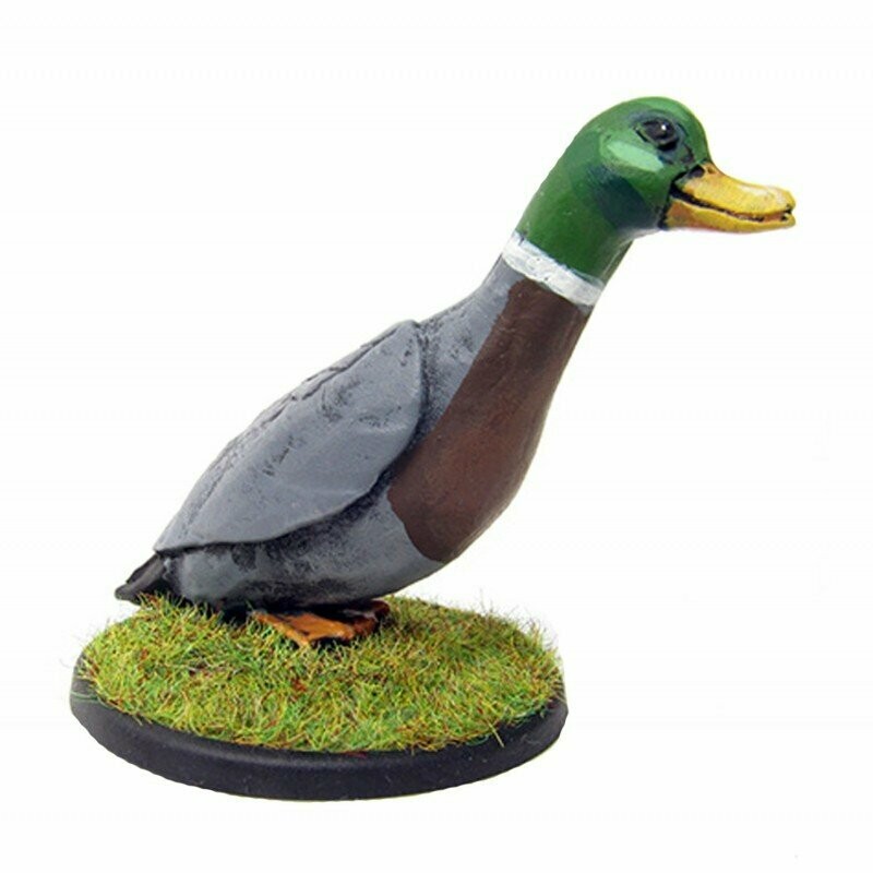 Duck