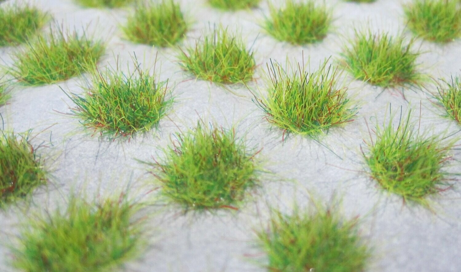 Grass tufts summer green