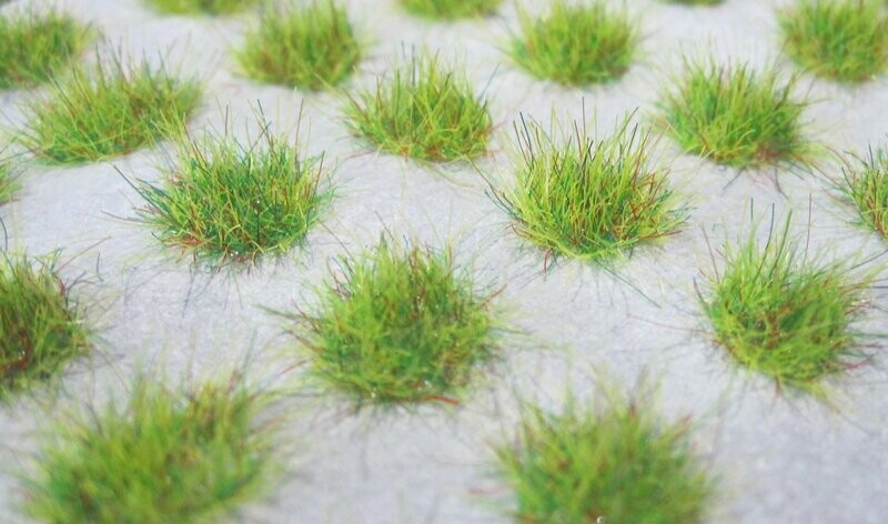Grass tufts summer green
