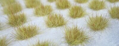Grass tufts Dry