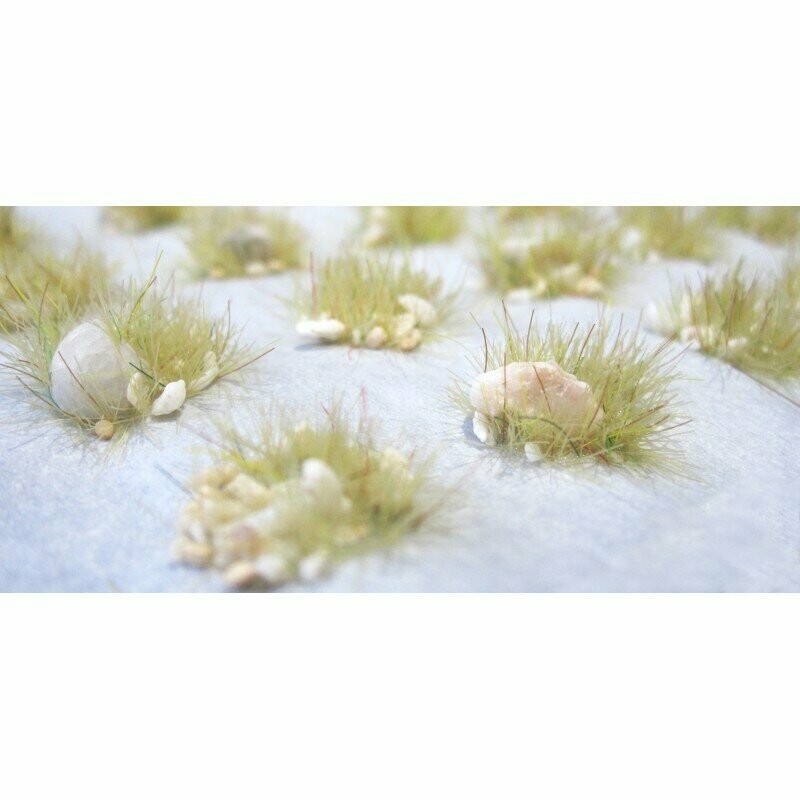 Boulder grass tufts Dry.