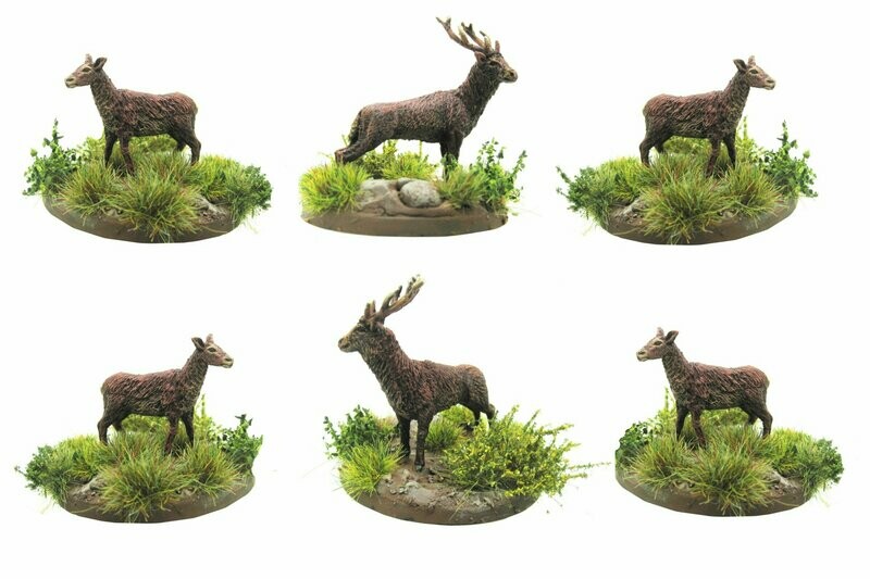 Red Deer