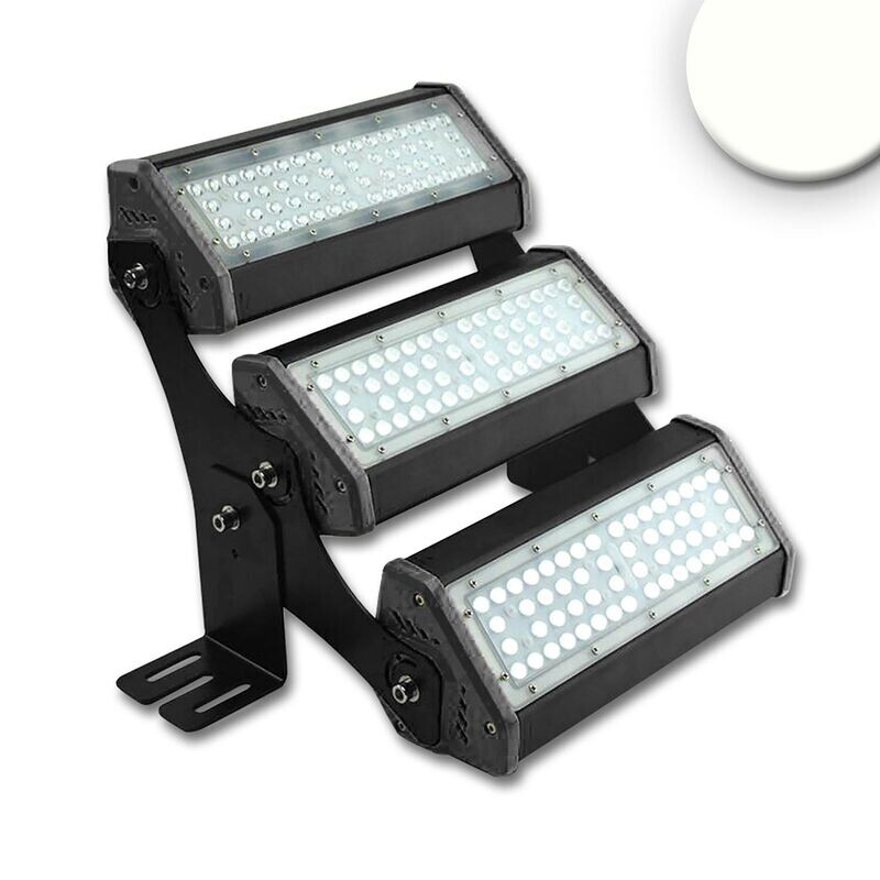 LED Hallenleuchte  3*50W dimm | 30°*70° Abstrahlung | IP66 | IK10