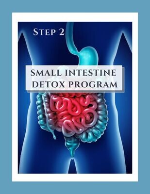 Step 2: Small Intestine Detox Program