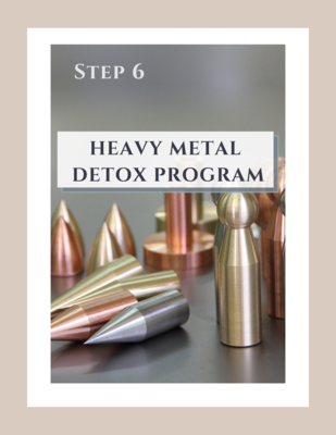 Step 6: Heavy Metal Detox Program