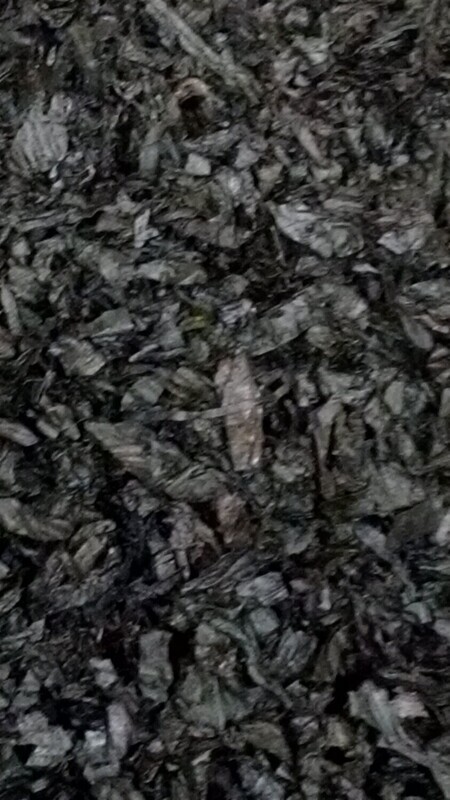 Buckies Blend  12 oz. Bag