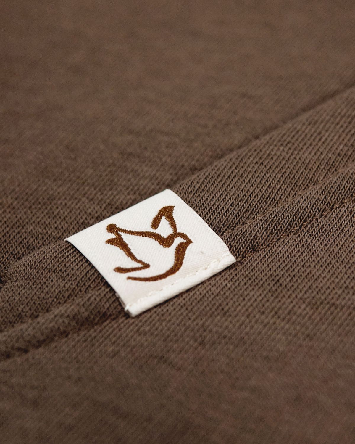 Spirit-Led Hoodie (Walnut)