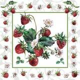 Decoupage Paper Napkins - Food &amp; Drinks - Fresh Strawberries 13x13 (1 Sheet)