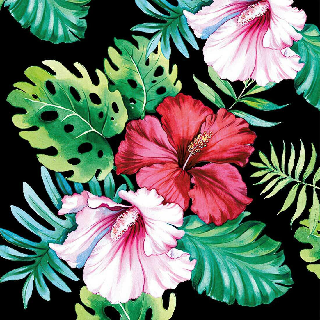 Decoupage Paper Napkins - Floral Hibiscus Black 13x13 (1 Sheet)