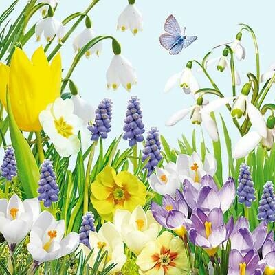 Decoupage Paper Napkins - Floral - Spring Time (1 Sheet)