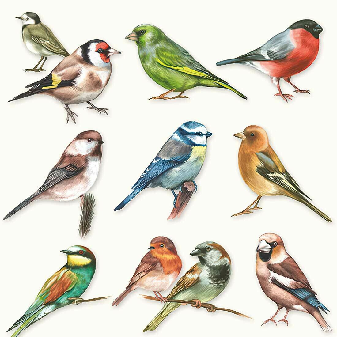 Decoupage Paper Napkins - Bird - Collection Of Birds (1 Sheet) Out of Stock