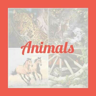 Animals