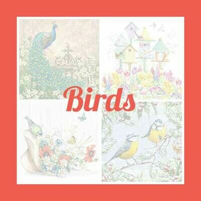 Birds