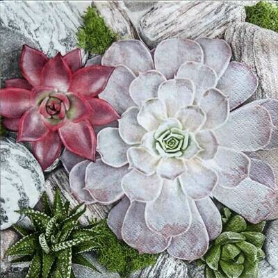 Decoupage Paper Napkins - Floral - Succulent Plants and Stones (1 Sheet)