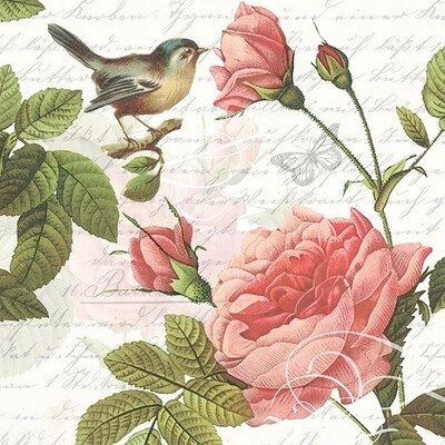 Decoupage Paper Napkins - Bird - Sophie (1 Sheet)