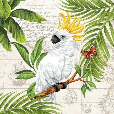 Decoupage Paper Napkins - Bird - Cockatoo  (1 Sheet)