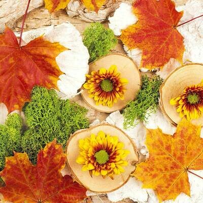 Decoupage Paper Napkins - Floral - Autumn Composition (1 Sheet)