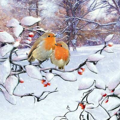 Decoupage Paper Napkins - Bird - Robins On Branch (1 Sheet)