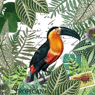 Decoupage Paper Napkins - Bird - Tropicana (1 Sheet)