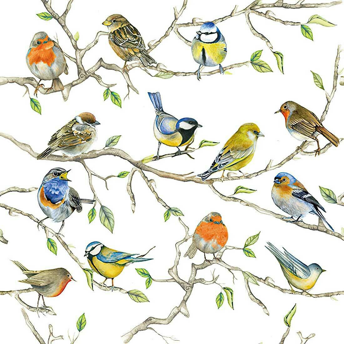 Decoupage Paper Napkins - Bird - Birds Meeting (1 Sheet)