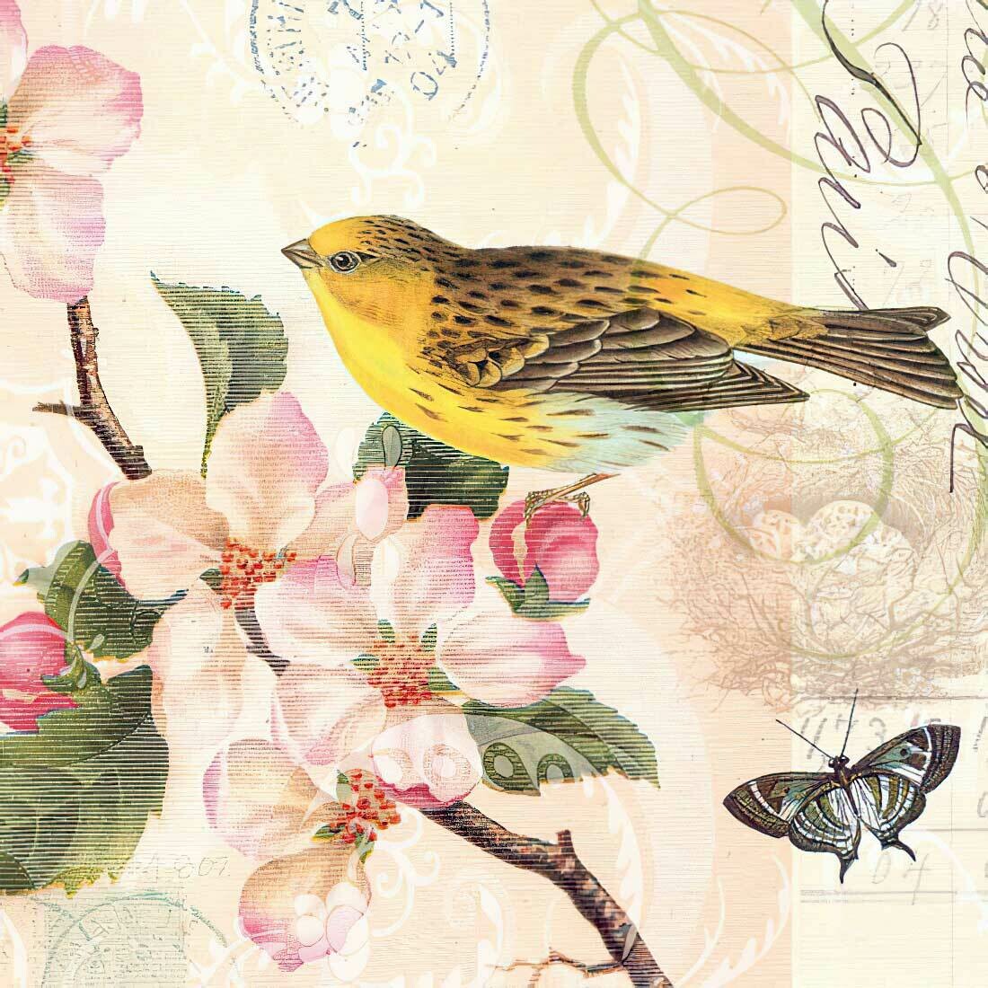 Decoupage Paper Napkins - Bird - Bird And Blossom(1 Sheet)