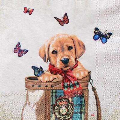 Decoupage Paper Napkins - Animal - Dog and Butterflies - Buddy (1 Sheet)