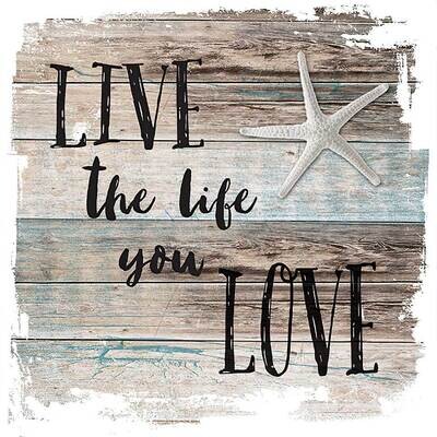 Decoupage Paper Napkins - Live The Life 13x13 (1 Sheet)