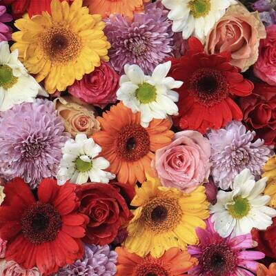 Decoupage Paper Napkins - Floral - Gerbera (1 Sheet)