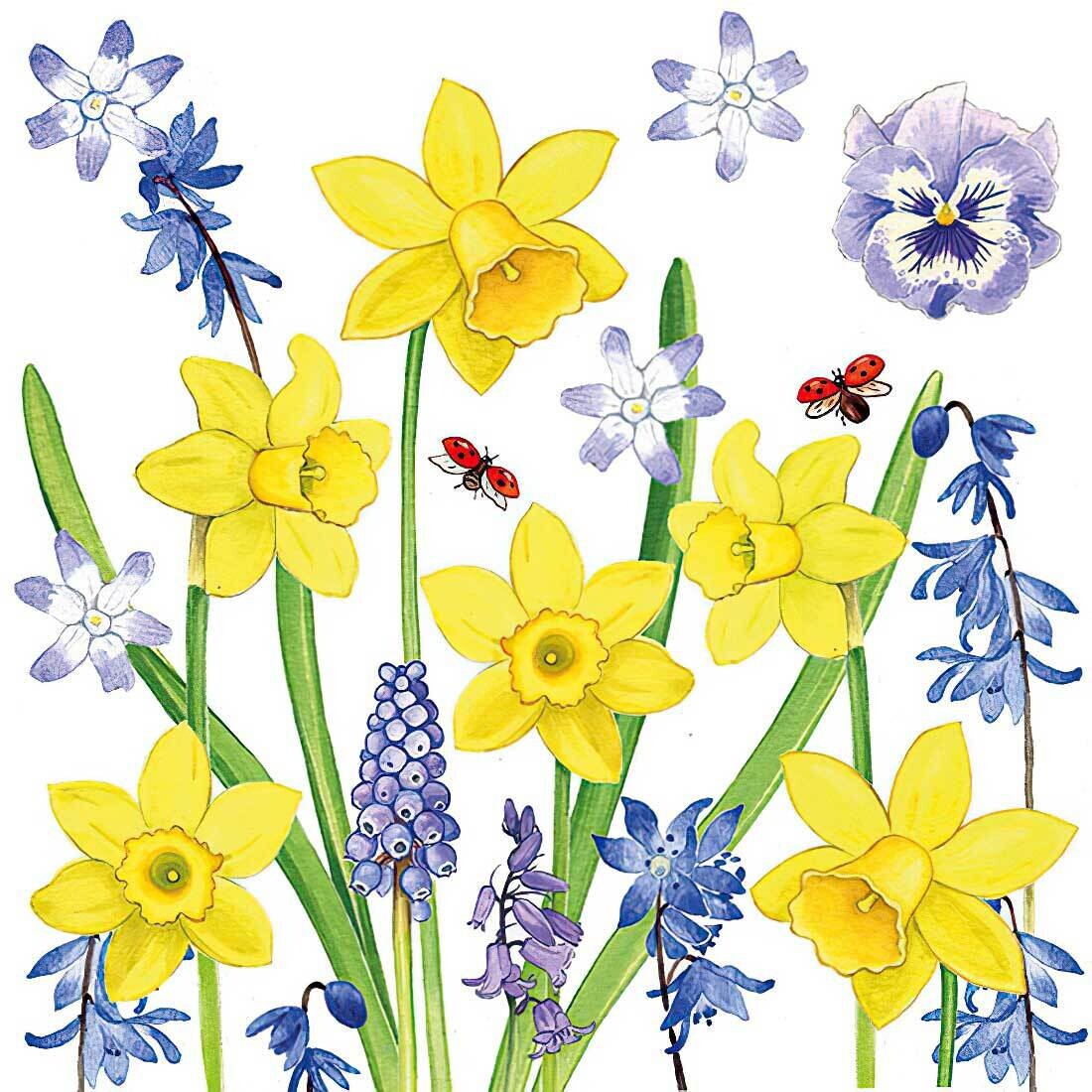 Decoupage Paper Napkins - Floral - Narcissus Love (1 Sheet)