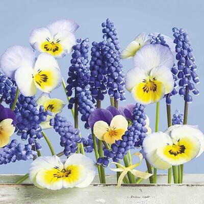 Decoupage Paper Napkins - Floral - Blue Spring Story (1 Sheet)