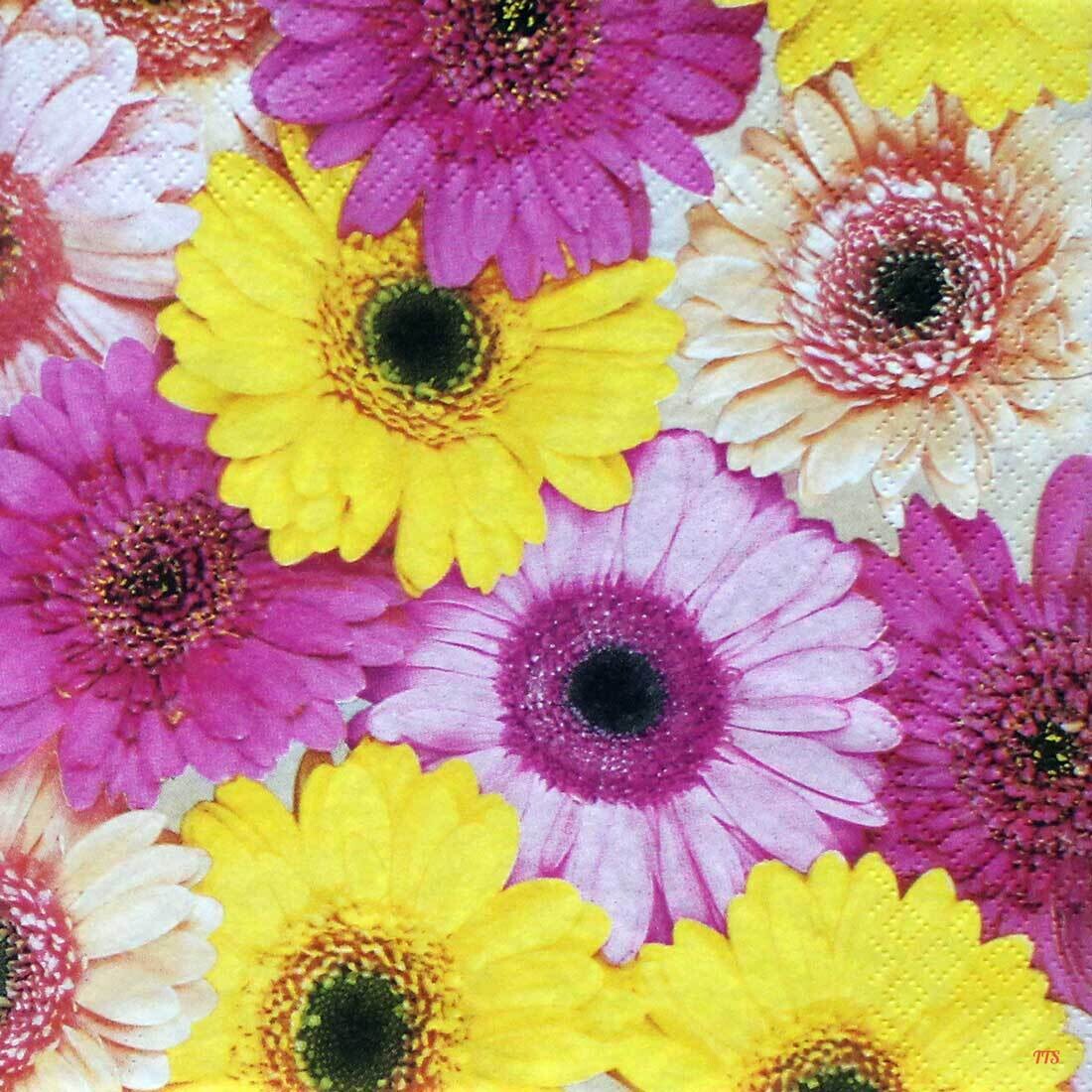 Decoupage Paper Napkins - Floral - Colourful Gerberas (1 Sheet)