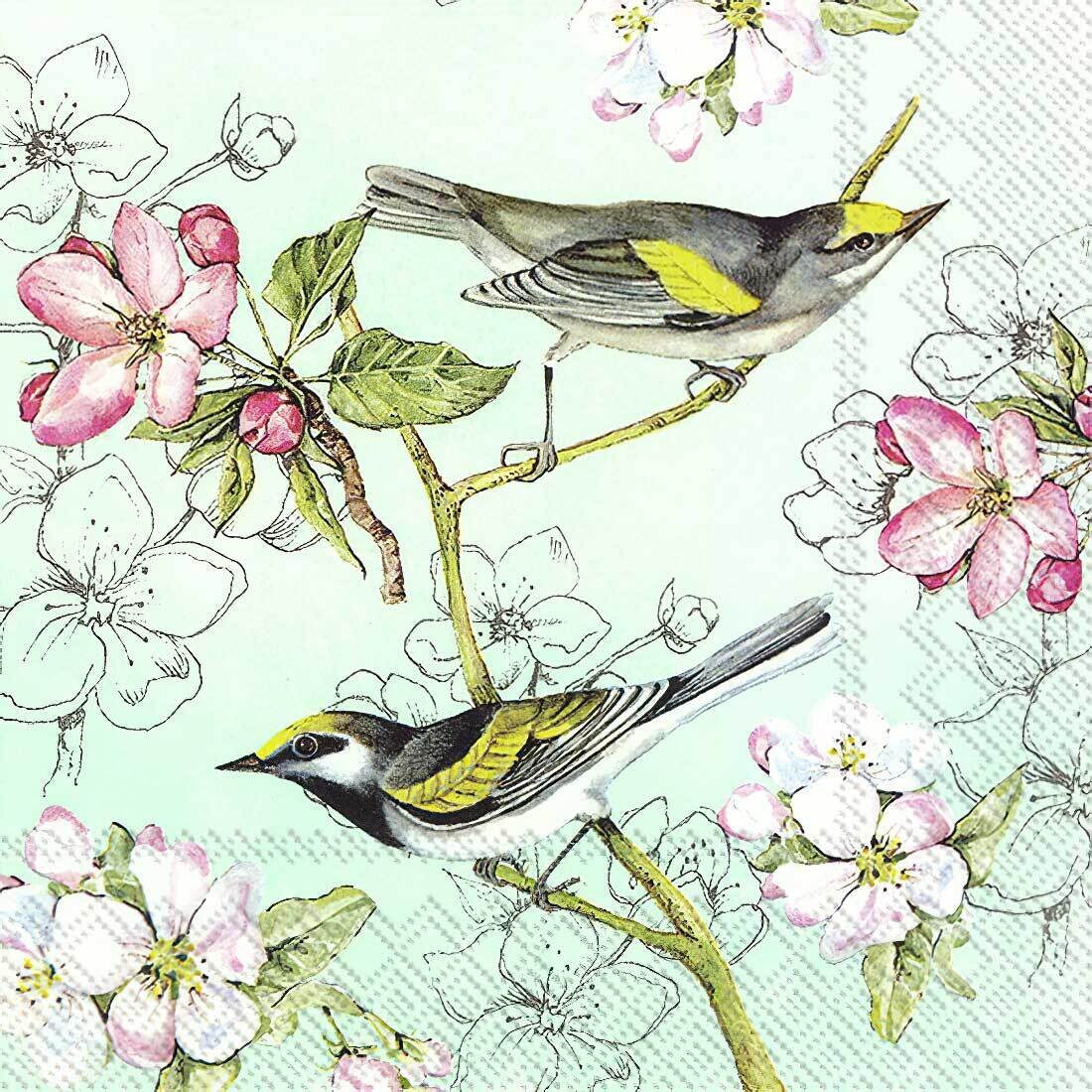 Decoupage Paper Napkins - Bird - Birds Symphony Green (1 Sheet)