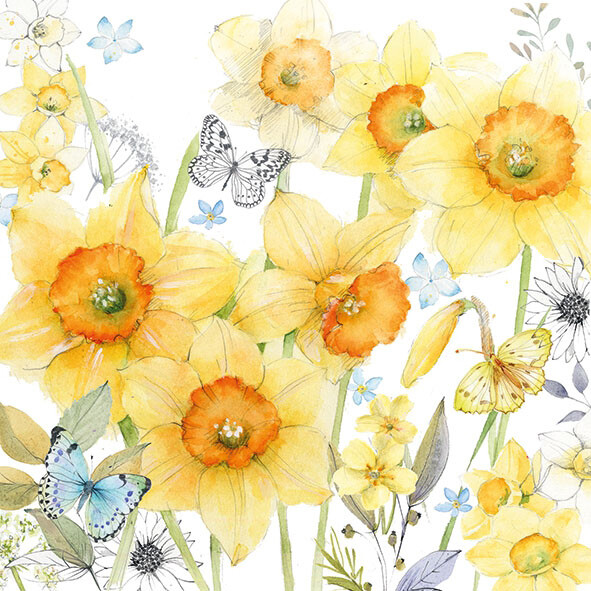 Decoupage Paper Napkins - Floral - Classic Daffodils (1 Sheet)