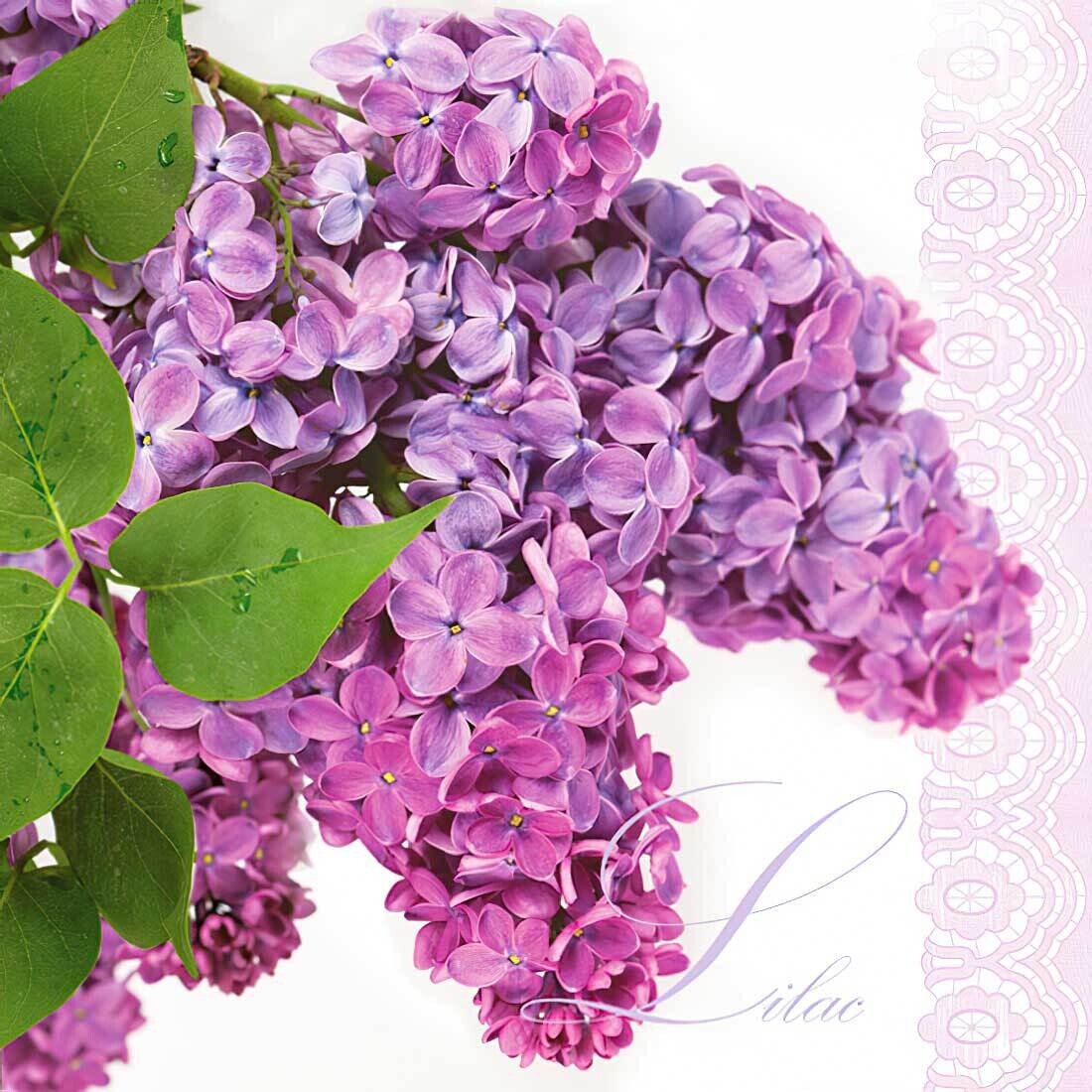 Decoupage Paper Napkins - Floral - Lilac Twig (1 Sheet)