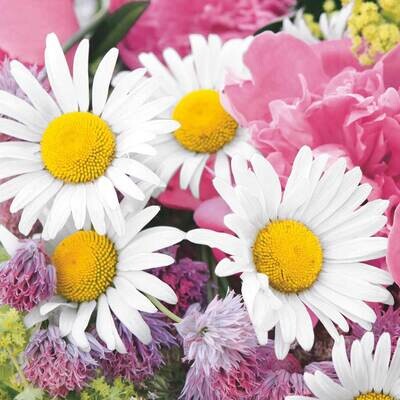 Decoupage Paper Napkins - Floral - Marguerite Daisy (1 Sheet)