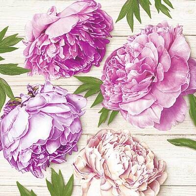 Decoupage Paper Napkins - Floral -  Romantic Peonies on White (1 Sheet)