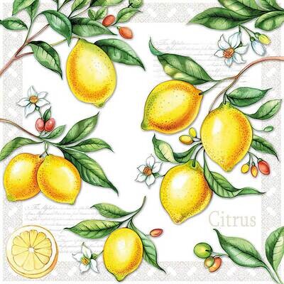 Decoupage Paper Napkins - Food & Drinks - Citrus (1 Sheet)