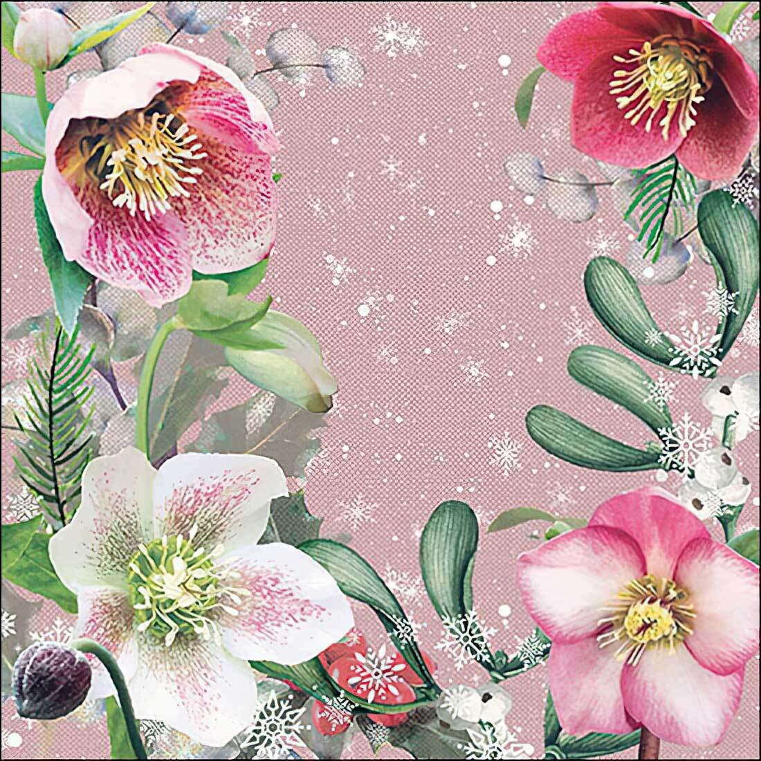 Decoupage Paper Napkins - Floral - Helleborus Orientalis Rose (1 Sheet)