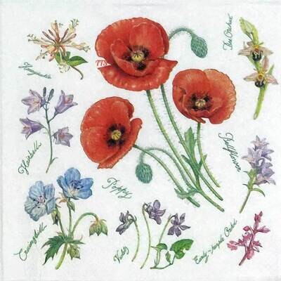 Decoupage Paper Napkins - Floral - Poppy Harmony (1 Sheet)