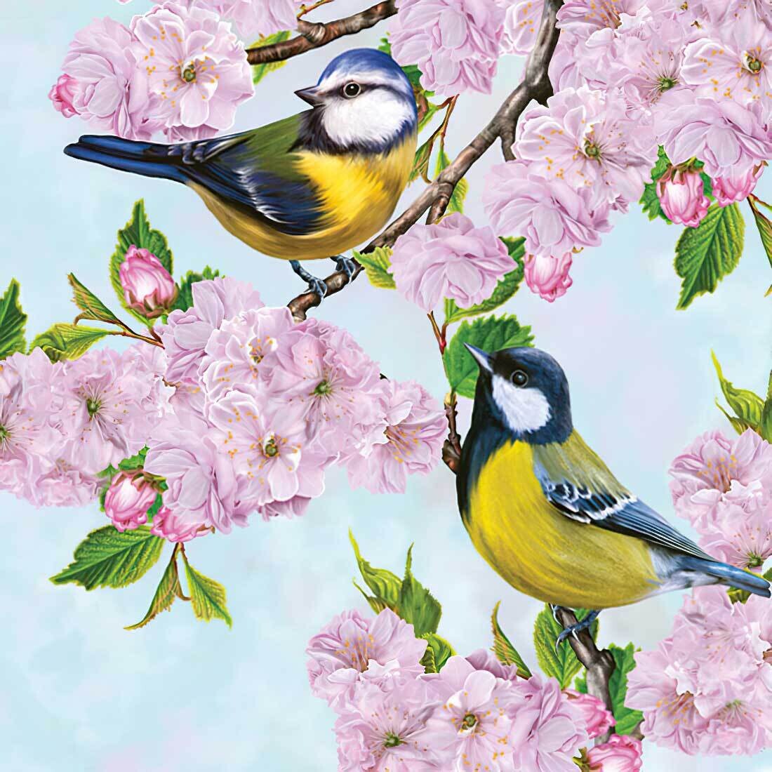 Decoupage Paper Napkins - Bird -  Tits on Cherry Blossom Twig (1 Sheet)