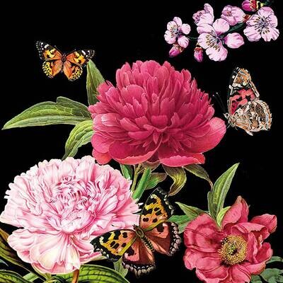 Decoupage Paper Napkins - Floral - Peonien Black (1 Sheet)