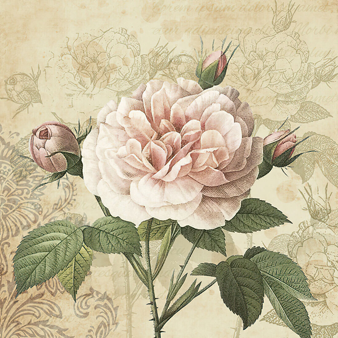 Decoupage Paper Napkins - Floral - Vintage Rose with Buds (1 Sheet)