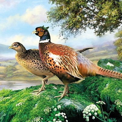 Decoupage Paper Napkins - Bird - Pheasant (1 Sheet)