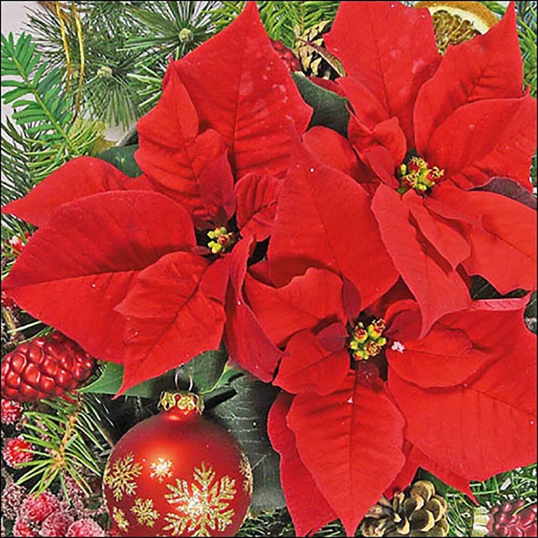 Decoupage Paper Napkins - Floral - Red Poinsettia (1 Sheet) Out of Stock