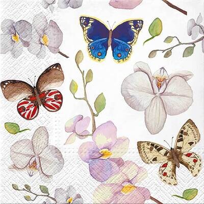 Decoupage Paper Napkins - Butterflies - Orchidea Butterfly (1 Sheet)