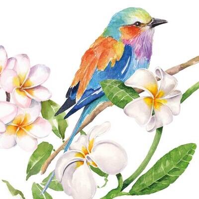 Decoupage Paper Napkins - Bird - Sri Lanka (1 Sheet)