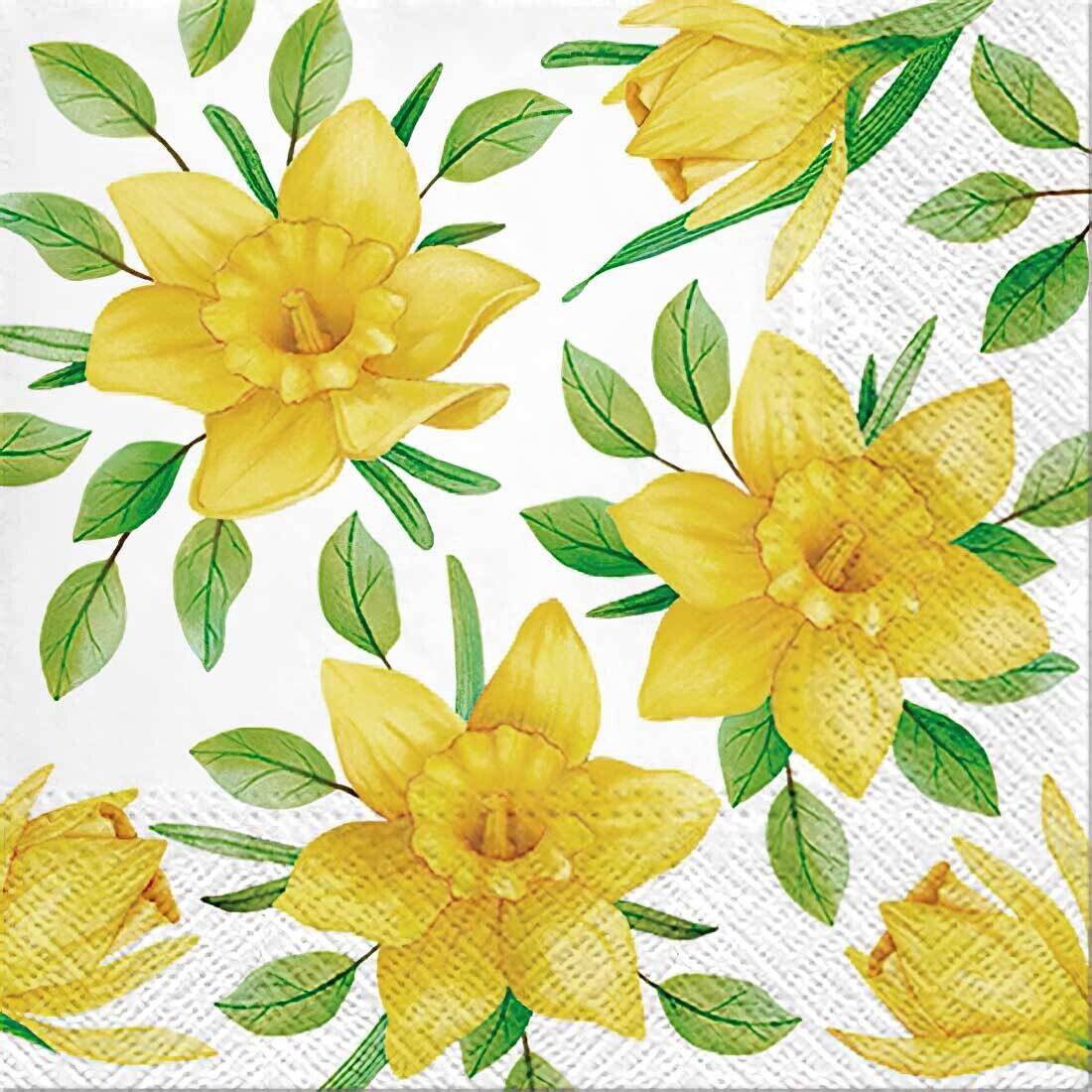 Decoupage Paper Napkins - Floral - Daffodils in Bloom (1 Sheet)