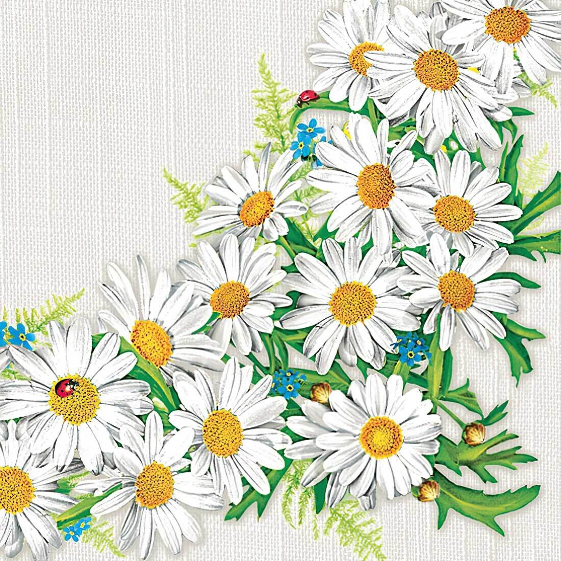 Decoupage Paper Napkins - Floral - Daisy Frame (1 Sheet)